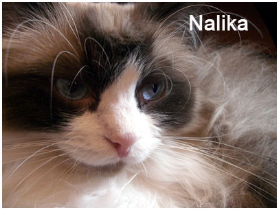 nalika05